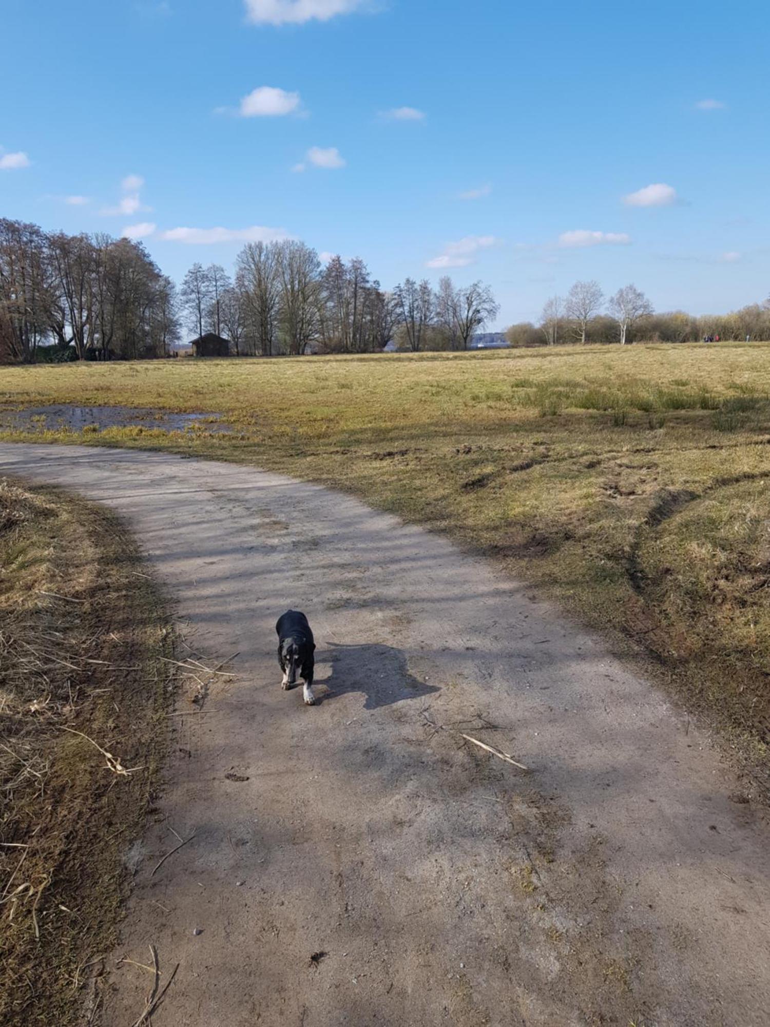 Wohlfuehloase Am Bad Zwischenahner Meer ภายนอก รูปภาพ